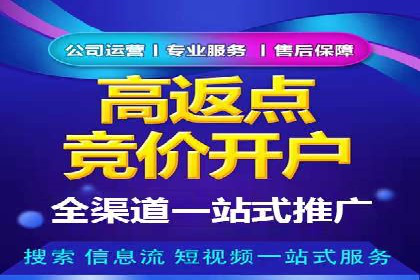 竞价账户如何开户：从理论到实践的成功案例
